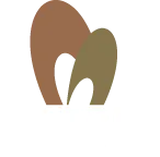 Matrix Property